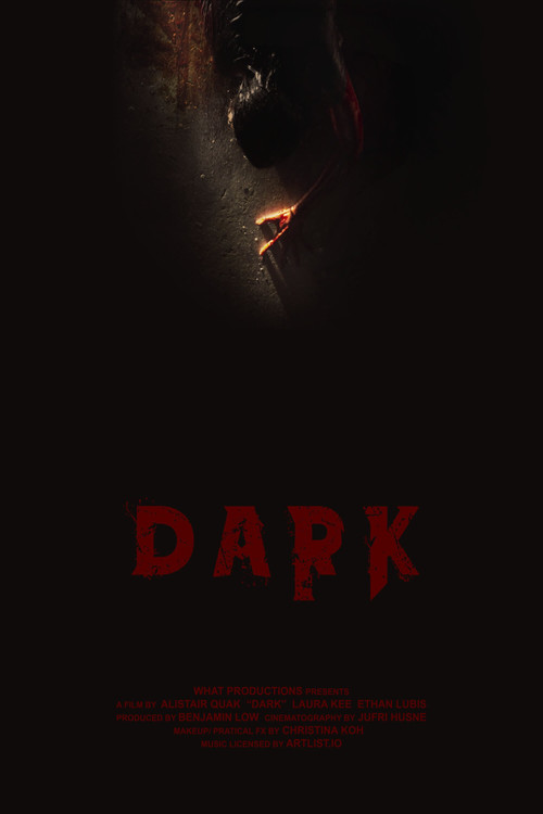 Dark (2023) poster