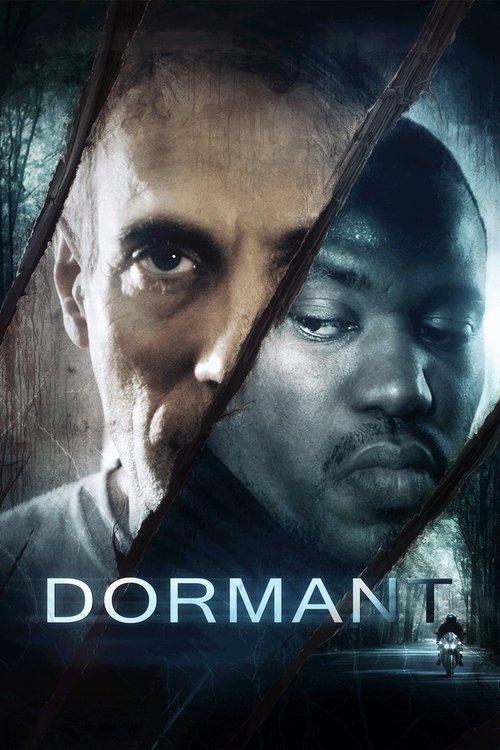 Dormant (2019) poster