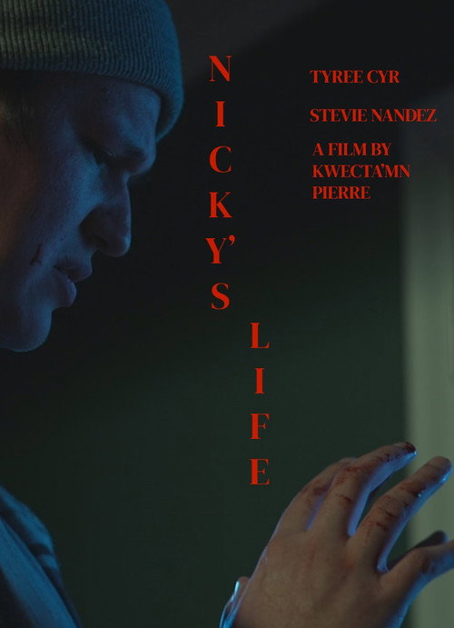 Nicky's Life (2024) poster