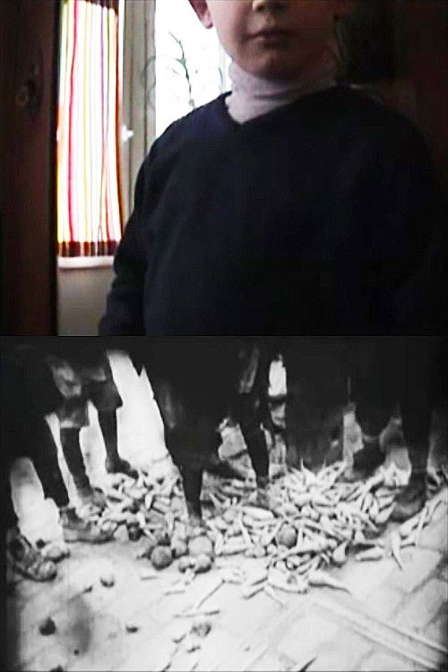 2 Home-Movies (2009) poster