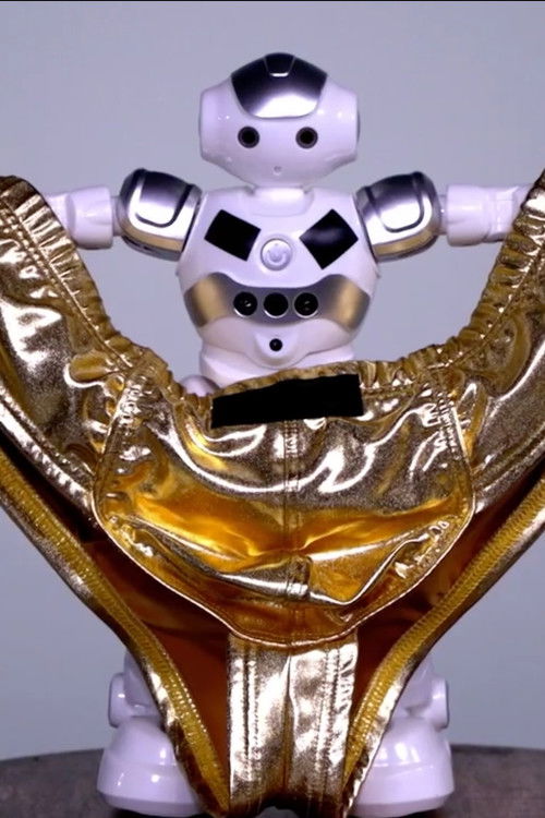 When Panties Fly (2019) poster