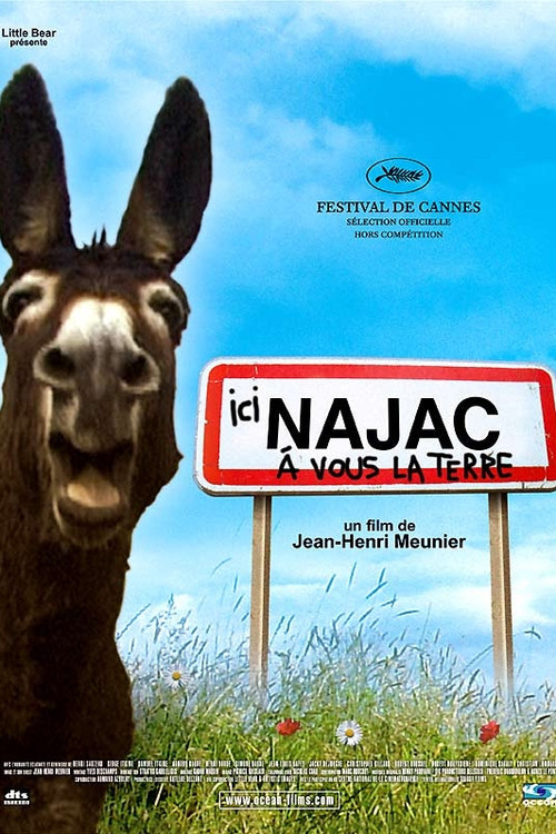 Ici Najac, à vous la Terre (2006) poster