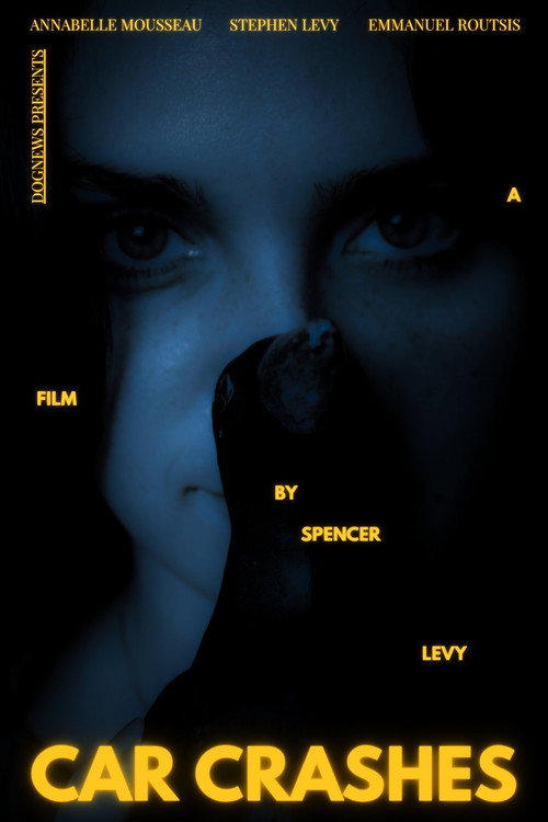 Car Crashes (2026) poster