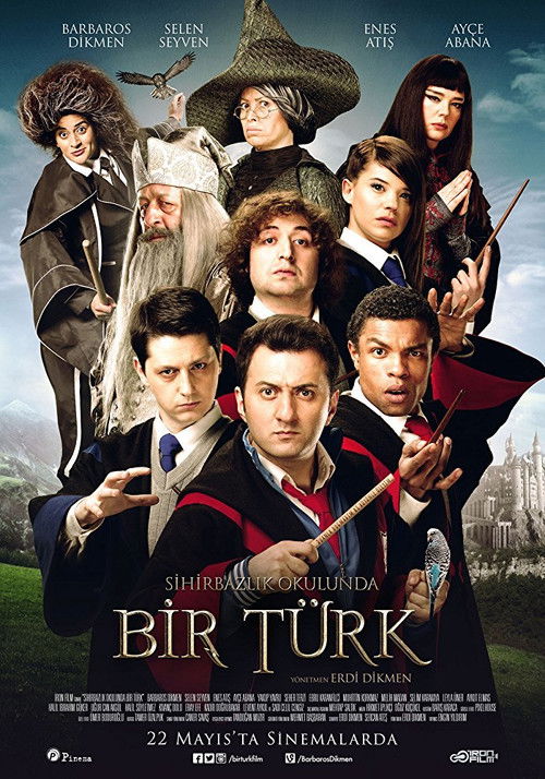 Sihirbazlık Okulunda Bir Türk (2015) poster