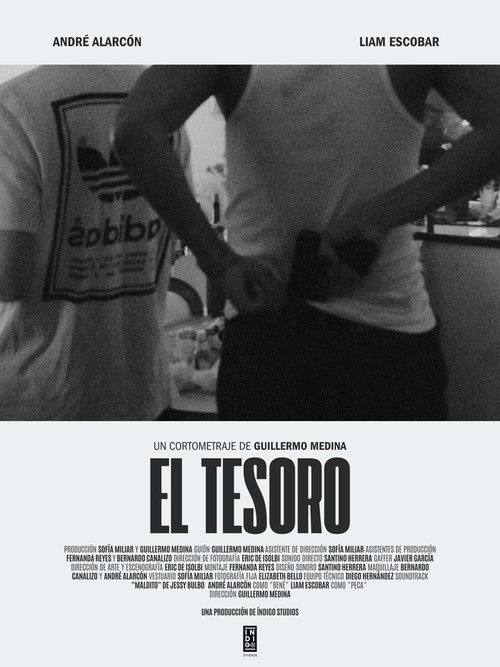 El Tesoro (2024) poster