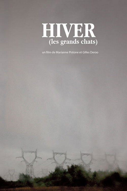 Winter (The Large Cats) (2008) poster