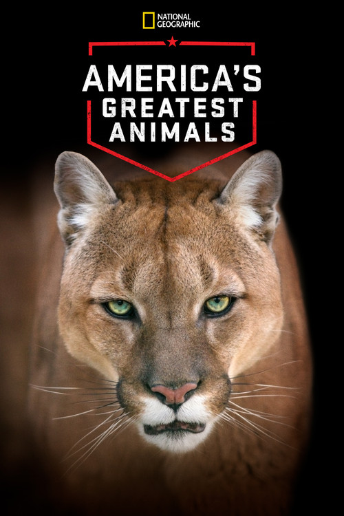 America's Greatest Animals (2012) poster