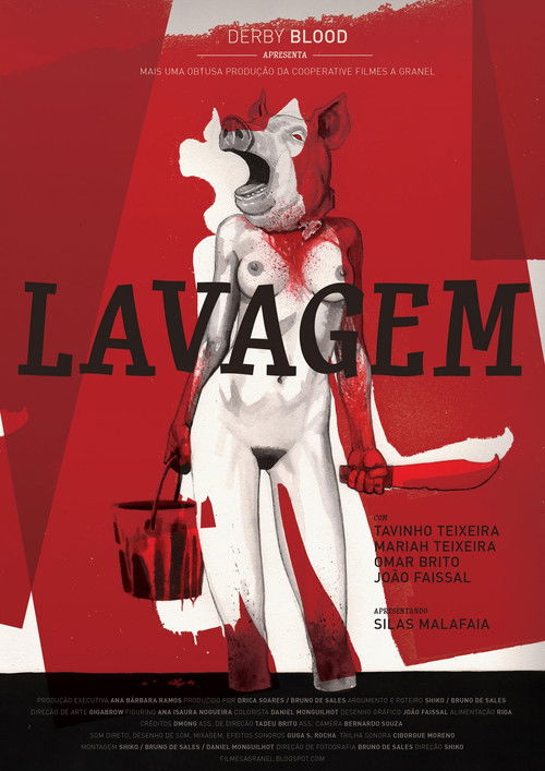 Lavagem (2011) poster