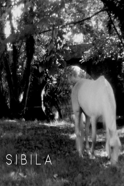 Sibila (2017) poster