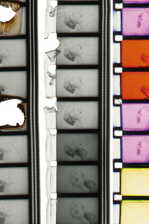 After Psycho Shower (2010) poster