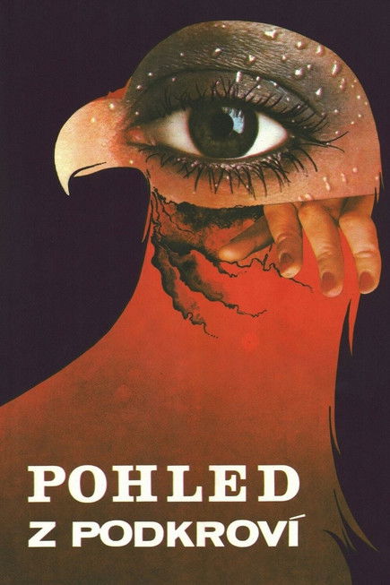 View from the Loft (1974) poster