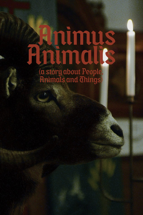 Animus Animalis (A Story about People, Animals and Things) (2018) poster