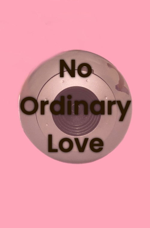 No Ordinary Love (2024) poster