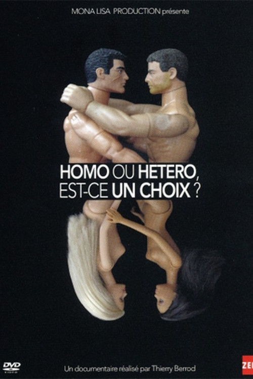 Homo ou hétéro, est-ce un choix ? (2014) poster
