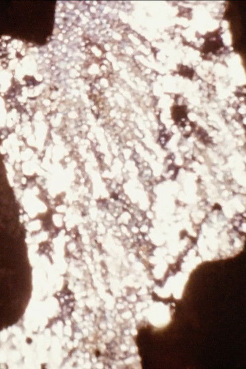 The Visible and Invisible of a Body Under Tension (2009) poster