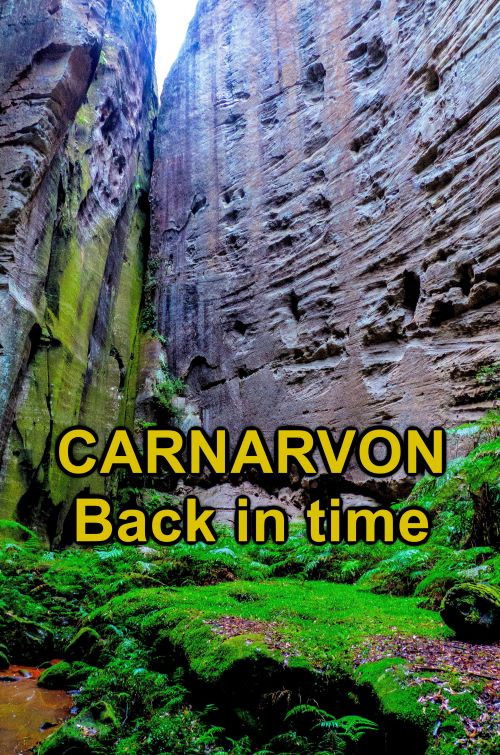 Carnarvon, Back in Time (2021) poster