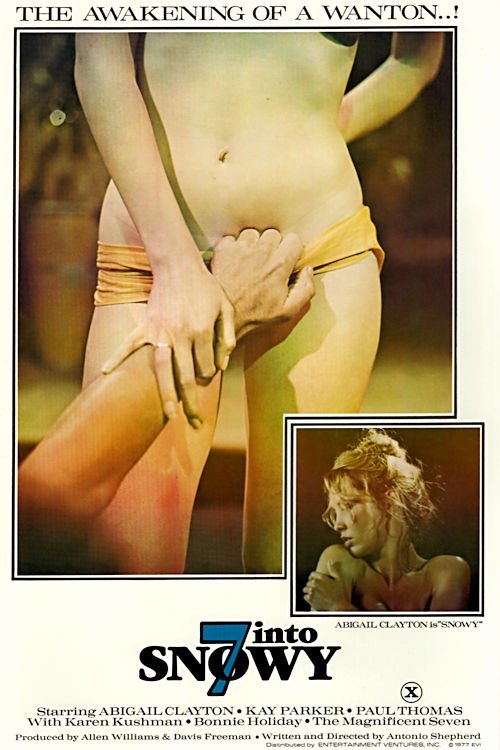 7 Into Snowy (1977) poster