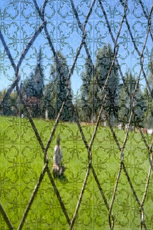 F20 Grail 12 (2024) poster