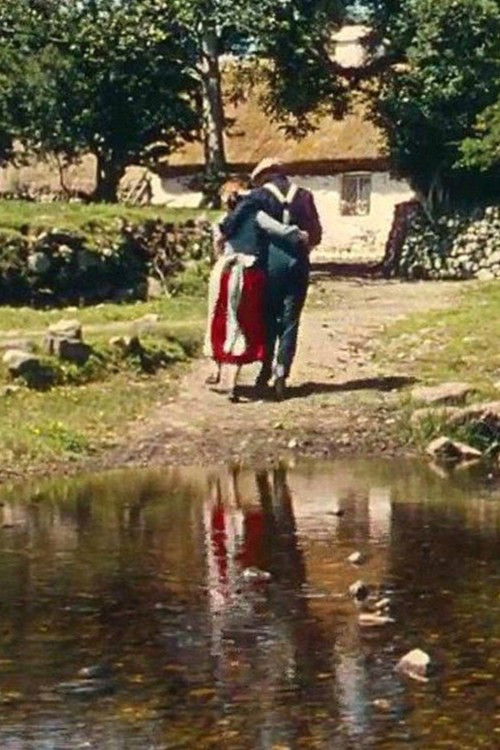 Muide Éire (2011) poster