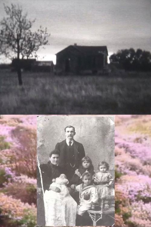 Homelands (2010) poster