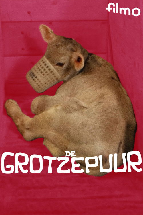 De grotzepuur (1975) poster