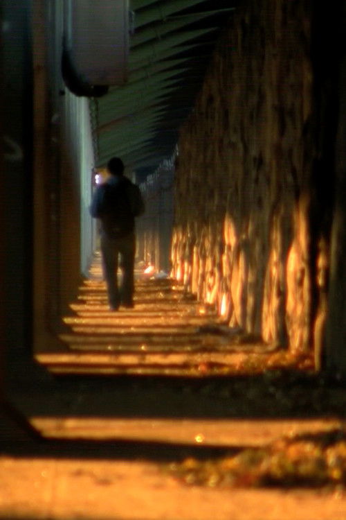 As You Pass By (2014) poster