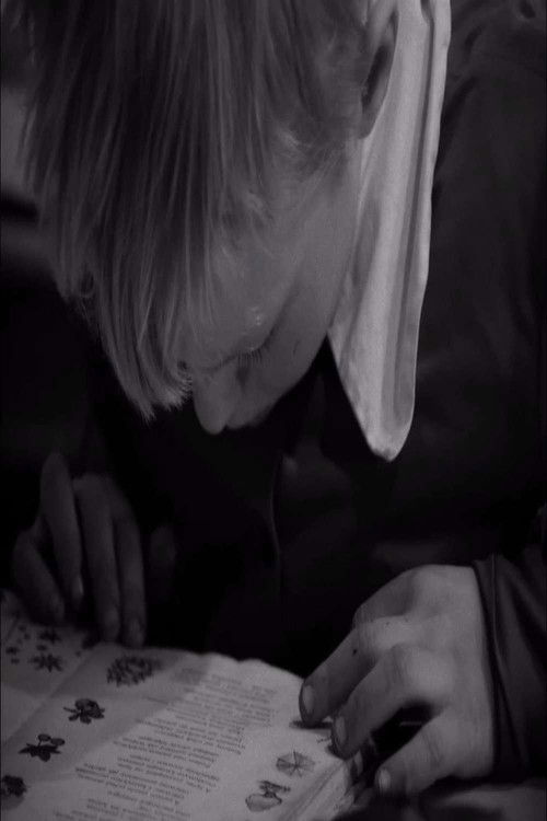 Road To School (1985) poster