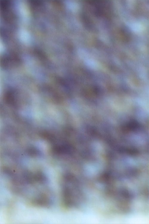 Gioconda/Film (1999) poster