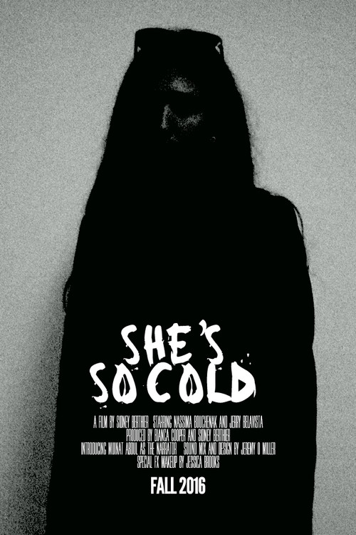 She's So Cold (2016) poster
