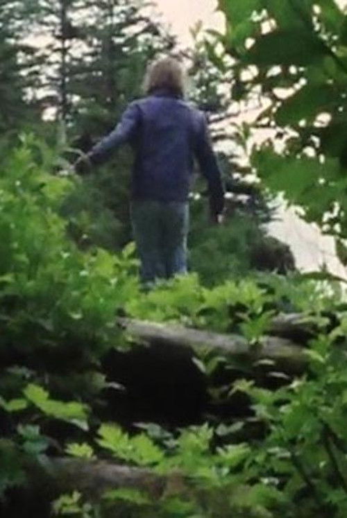 Beautiful Lennard Island (1977) poster