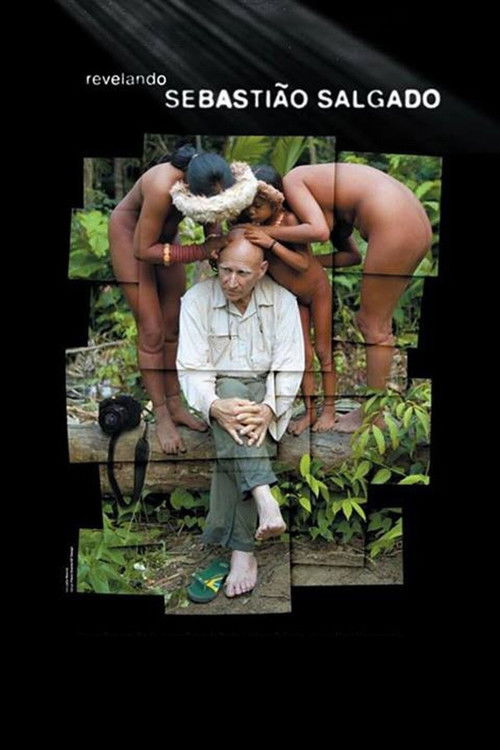 Meeting Sebastião Salgado (2012) poster