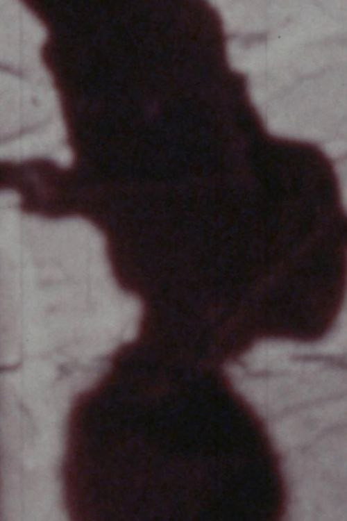 Señales de vida (1979) poster