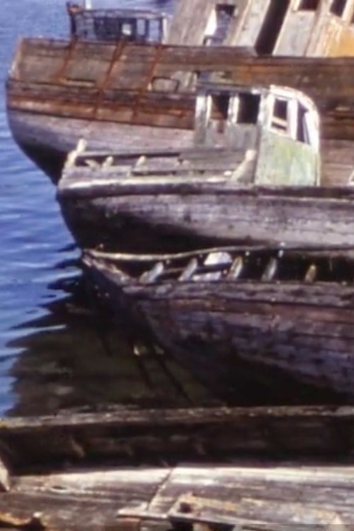 The island of the marine dead (1975) poster