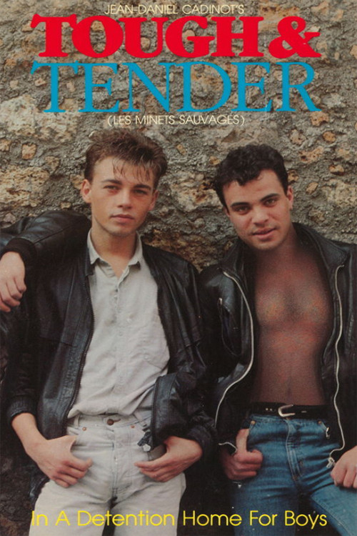 Les Minets Sauvages (1984) poster
