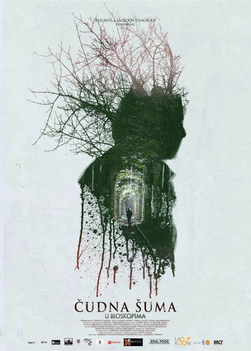 Strange Forest (2014) poster