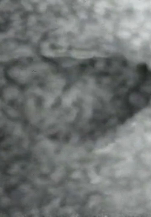 Mouth to Mouth (1975) poster