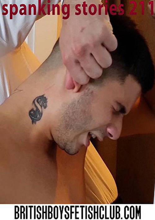 Spanking Stories 211 (2021) poster