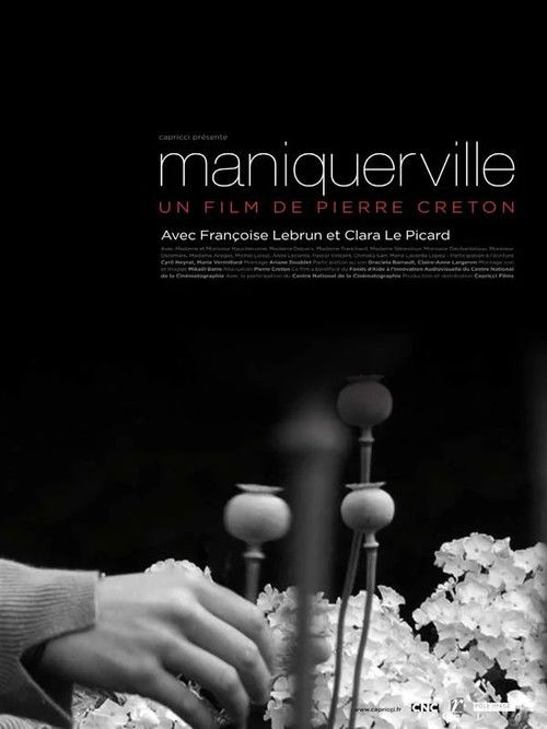 Maniquerville (2010) poster