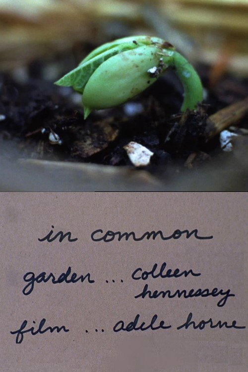 In Common (2014) poster