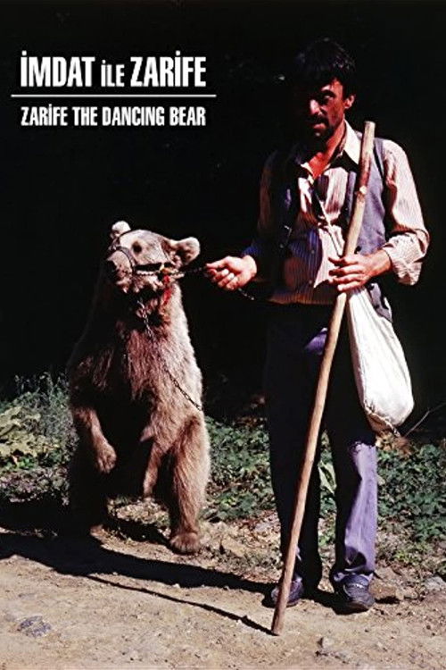 Zarifa The Dancing Bear (1990) poster