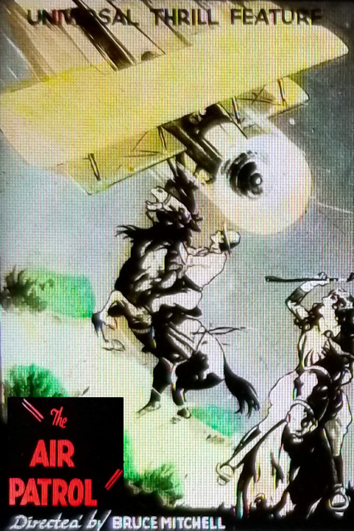 The Air Patrol (1928) poster
