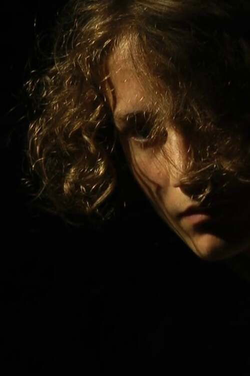 Storia (2013) poster