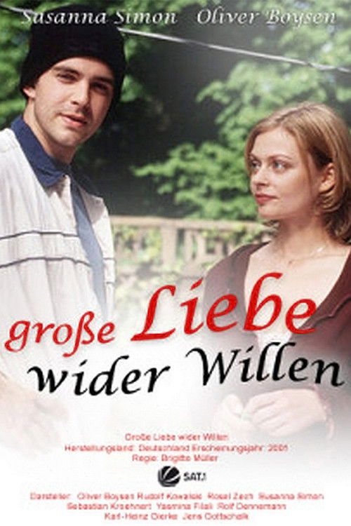 Große Liebe wider Willen (2001) poster