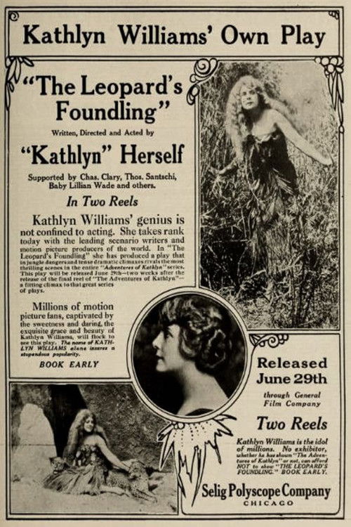 The Leopard's Foundling (1914) poster