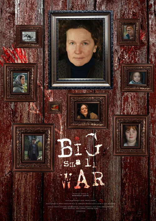 Big Small War (2023) poster