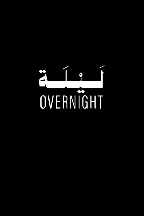 Overnight (2025) poster