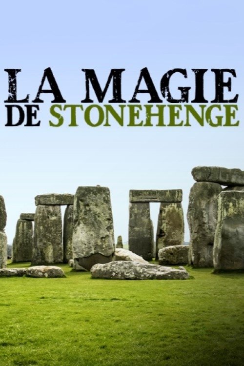 The Stonehenge Enigma (2021) poster