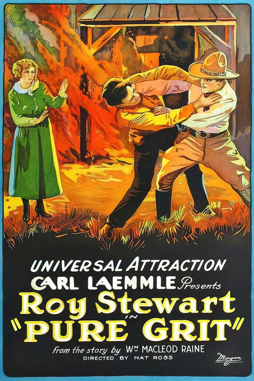 Pure Grit (1923) poster