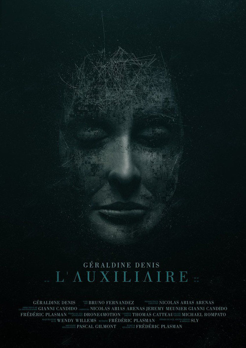 L'auxiliaire (2018) poster
