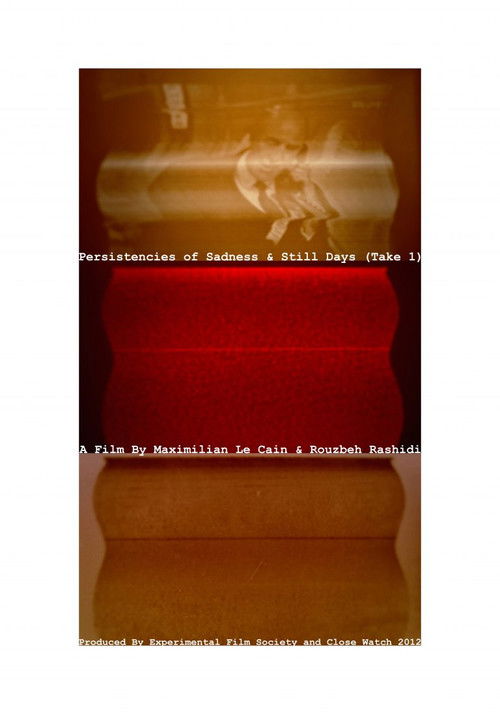 Persistencies of Sadness & Still Days (Take 1) (2012) poster
